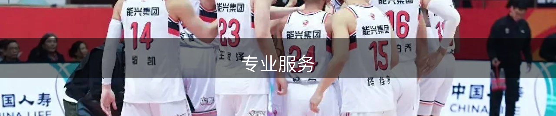 专业服务